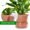 D'vine Dev 10 Inch Design Self Watering Pot for Indoor