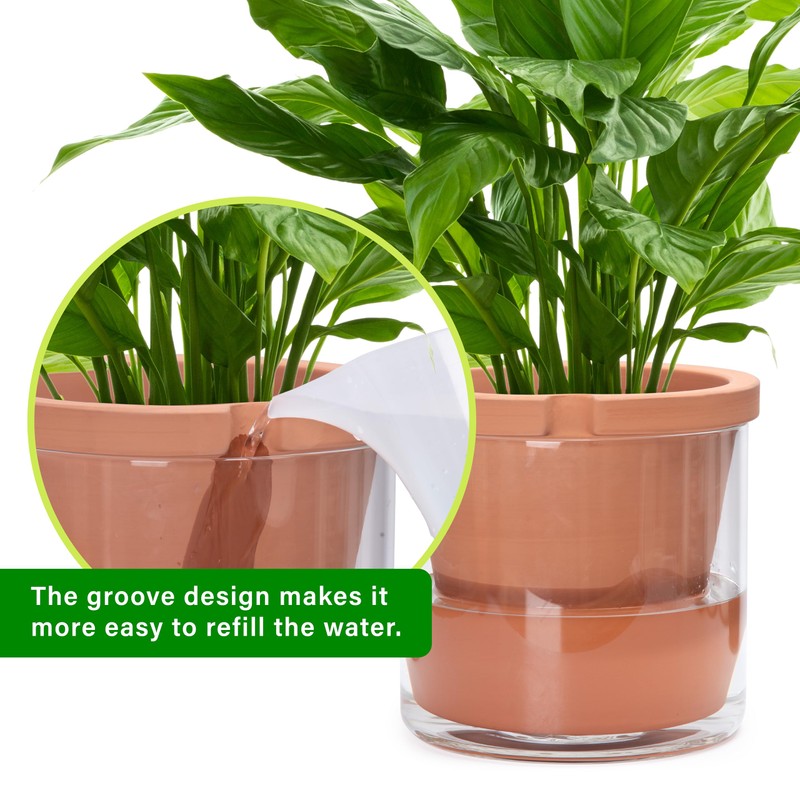 D'vine Dev 10 Inch Design Self Watering Pot for Indoor