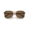 Coach HC8383U Universal Fit Sunglasses, Transparent Green Tan Gradient/Brown Solid,