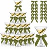 Rtteri 36 Pcs Sage Green Plastic Martini Glasses with Ribbon