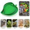 2 Pcs Leaf Reptile Food Water Bowl Plate Dish for