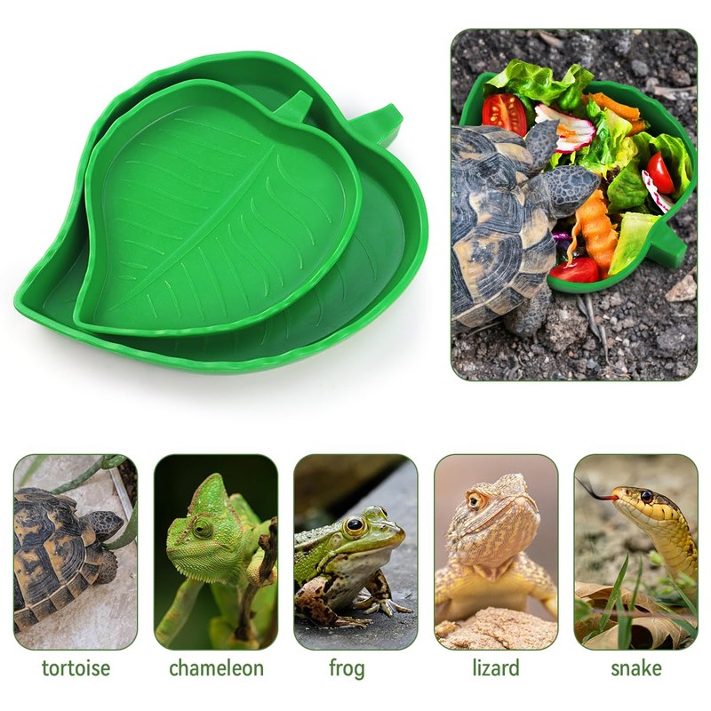 2 Pcs Leaf Reptile Food Water Bowl Plate Dish for