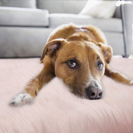 RosieLily Pink Fur Rug Soft Pink Faux Fur Rug Fuzzy Rug Fluffy Rug Fuzzy Rug Pink Rug for Bedroom, Living Room Floor Rugs for Sofa,Kids Room 2 x 3 Feet (Pink)