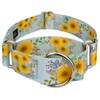 Country Brook Petz - Sunny Days Martingale Dog Collar -