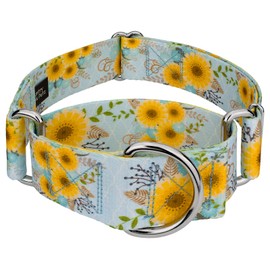 Country Brook Petz - Sunny Days Martingale Dog Collar - Spring Collection with 6 Springtime Designs (1 1/2 Inch, Extra Large)