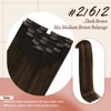 Sunny Clip in Hair Extensions Human Hair Brown Balayage Clip