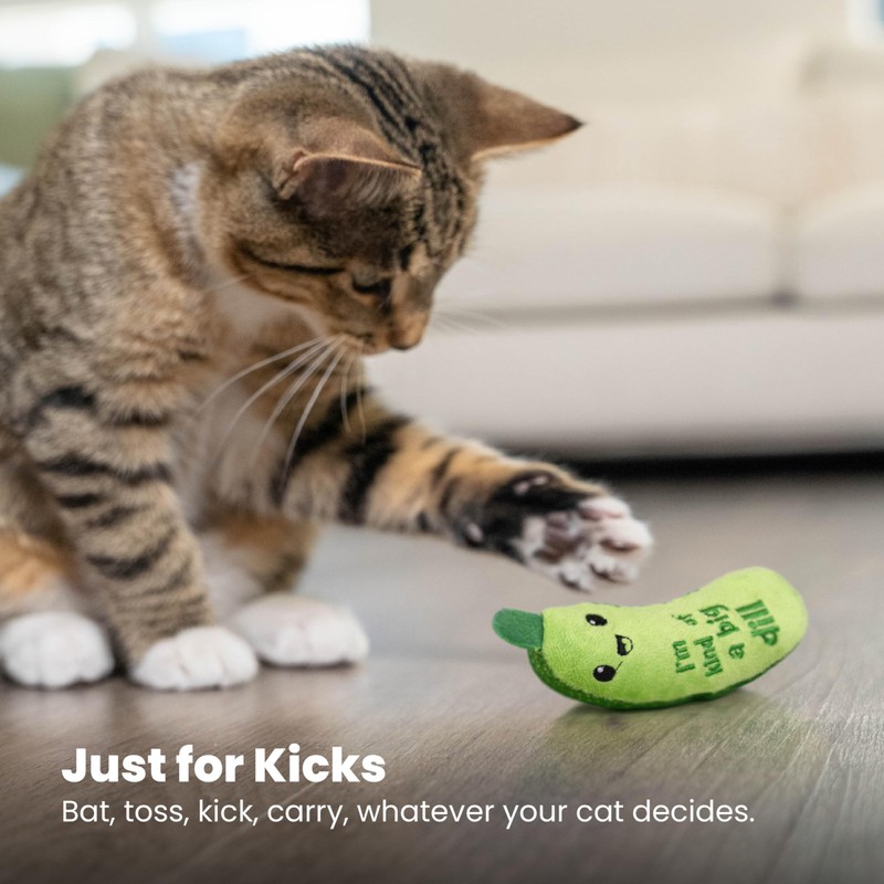 Catstages Crunchy Pickle Kicker Toy with Catnip and Dental Mesh,