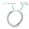 Swars Hoop Earrings, Ring Earrings, Unisex, Both Ears, 2 Pieces,