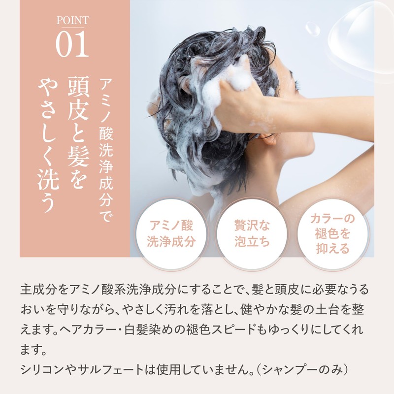 Caralis Shampoo [Beauty Salon Exclusive/Scalp Care/Amino Acids] Scalp Shampoo, Aging
