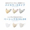 【風邪予防 マスク 不織布 DAILY FIT MASK Filter+ 5枚 ペールベージュ×ボルドー【ふつう 旧:小さめ