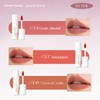 L'ADORE COLORS Souffle Mat Lip (510 Red Bean Astringent)