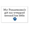 CafePress Wrapped Around His Paw (Pomeranian) Sticker (Recta Rectangle Bumper