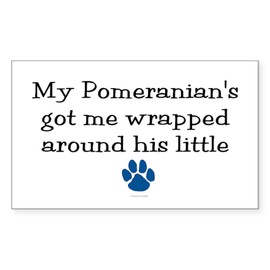 CafePress Wrapped Around His Paw (Pomeranian) Sticker (Recta Rectangle Bumper Sticker Car Decal