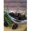 Candied Young Pine Cones - Siberian Delicacy by Samsonov 100g