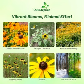 Outsidepride Black Eyed Susan Rudbeckia Seeds - 5 lbs. Perennial, Easy to Grow & Self-Seeding Flower Seeds for Planting Golden Yellow Blooms, for Low Maintenance Pollinator Gardens & Erosion Control