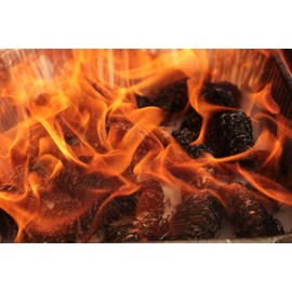 Big K Woodies Firelighters, Bag of 24 Natural Wood Wool BBQ Firelighters