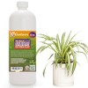 Gardenera Premium Liquid Spider Plant Fertilizer - 3-1-2 Concentrate for