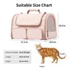 FUKUMARU Cat Carrier, 4 Mesh Windows Small Dog Carrier, 4