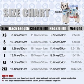 FEimaX Dog Surgery Recovery Suit, Pet Onesie after Surgery for Female Male Dogs, Cone E-Collar Alternative, Soft Surgical Bodysuit for Small Medium Dogs Cats