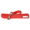 Doodlebone Bold Nylon Lead Red Small 15mm X1.3m