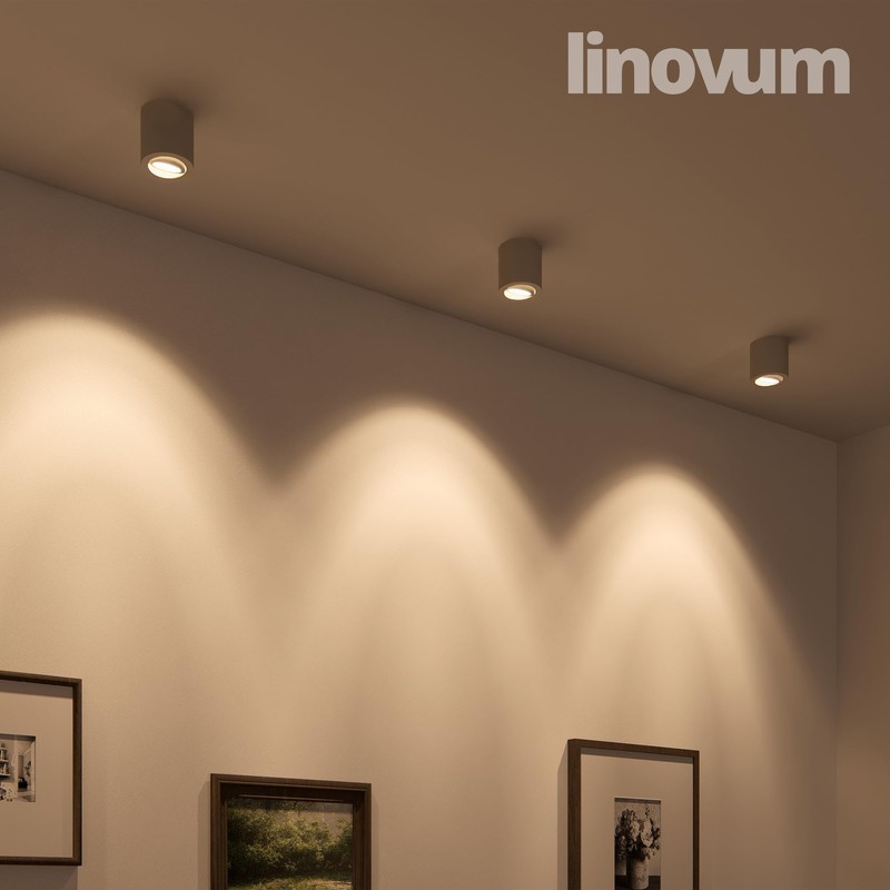 linovum Cori Pivoting Surface-Mounted Spotlight, White and Brushed Aluminium with