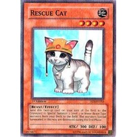 Yu-Gi-Oh! - Rescue Cat (FET-EN033) - Flaming Eternity - 1st Edition - Common