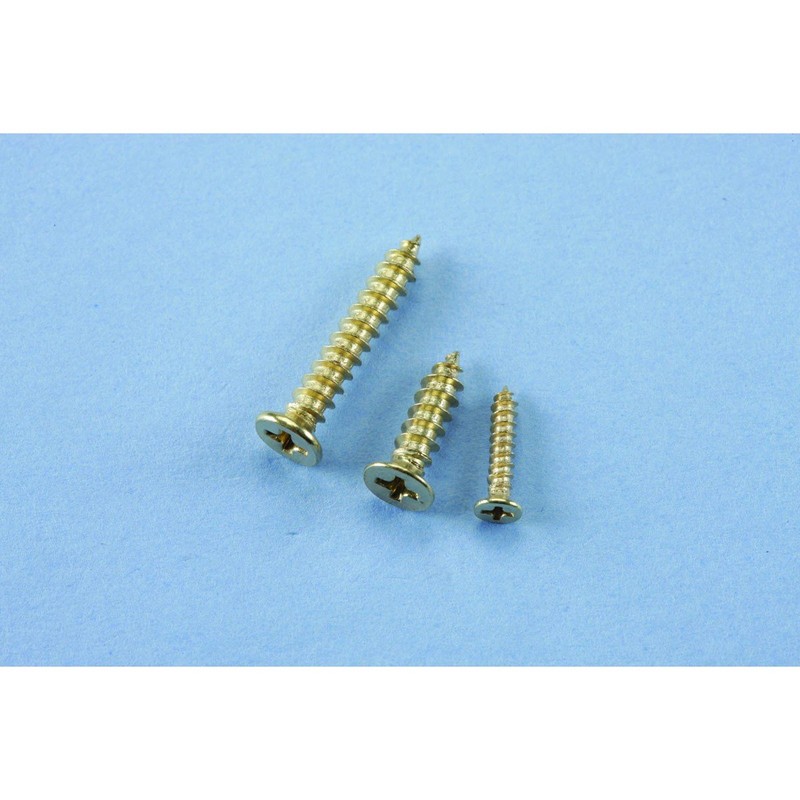 Storehouse 500 Piece Brass Plated Wood Screw Assortment