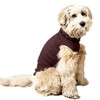 Panfree Cotton Wearable Clothing Medium Size Regular for Boys, Marine