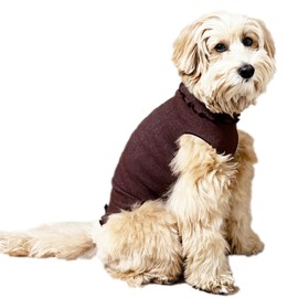 Panfree Cotton Wearable Clothing Medium Size Regular for Boys, Marine Blue, Medium Dogs, Dog Wearing, Cat Warming Goods, Made in Japan