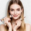 Set Brochas Maquillaje Doble 6pcs Profesional