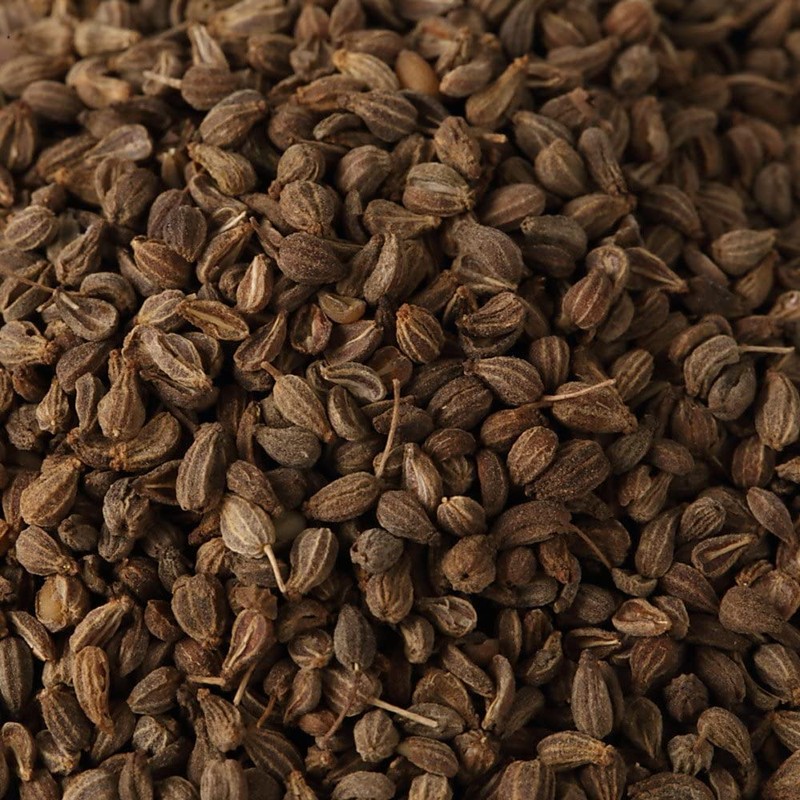 Anise Seeds Herbal Tea Organic 1.8 oz (50 g)