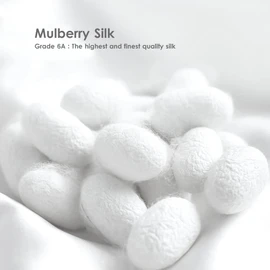 Two-Sided 100% Mulberry Silk Hypoallergenic Pillowcase Slip Skin Face Hair Beauty Care Gift Box, Grade 6A (White)