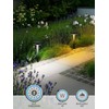 LEONLITE 12-Pack 2CCT Solar Powered Path Lights, 50/100% Dimmable, Auto