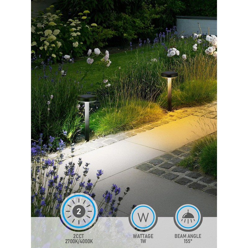 LEONLITE 12-Pack 2CCT Solar Powered Path Lights, 50/100% Dimmable, Auto