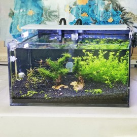 FixtureDisplays 16.1 X 7.9 X 8.3" 5 Gallon Premium Clear Acrylic Fish Tank