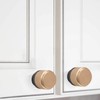 POVEFONK 10 Pack Black and Champagne Copper Kitchen Cabinet Knobs