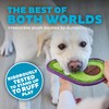Outward Hound Tough Skinz Durable Squeaky Dog Toy with Two