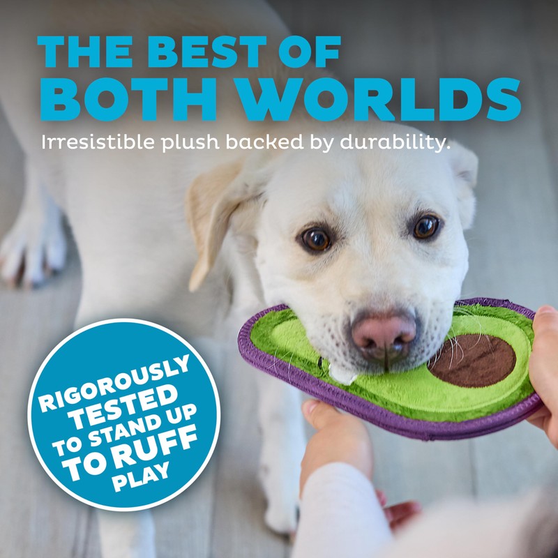 Outward Hound Tough Skinz Durable Squeaky Dog Toy with Two