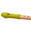 Mollenhauer 17311 Fipple Soprano Recorder, Lere, Apple Green, German Single