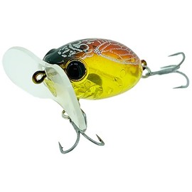 Zact Craft Zaguna Micro II #1 Clear Hull Seminar