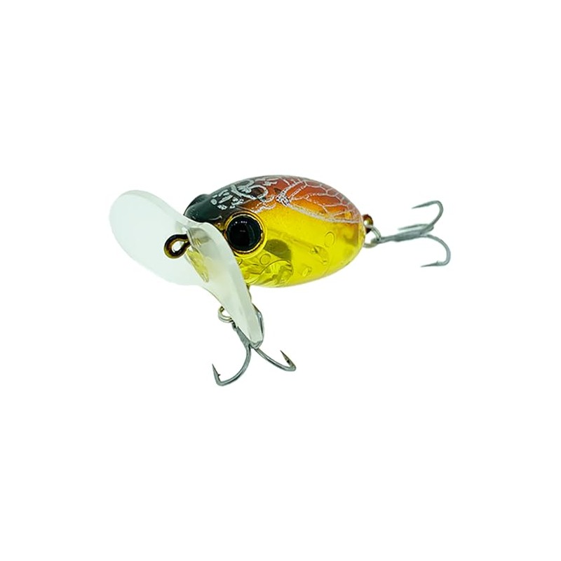 Zact Craft Zaguna Micro II #1 Clear Hull Seminar