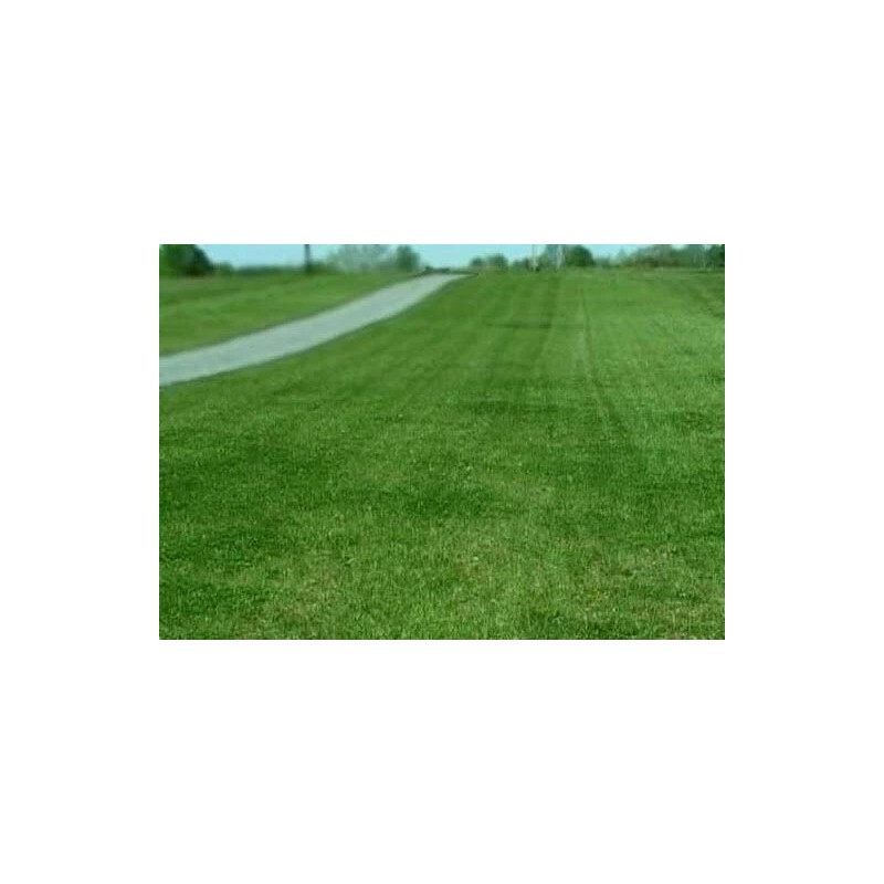 Eretz Contractor’s Grass Seed Blend by Eretz - CHOOSE SIZE!
