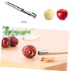 BIUDECO 3Pcs Stainless Steel Fruit Corer Portable Core Remover Tools