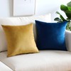 Artscope Luxury Velvet Pillow Covers Super Soft Decorative Square Throw