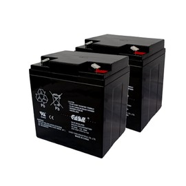 Casil 2081-9287 Simplex Fire Panel Battery 2 Pack