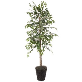 Vickerman 6-Feet Artificial Variegated Ficus Economy Tree in Decorative Container