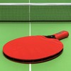 Sure Shot Matthew Syed Outdoor Table Tennis Bat, Red, One