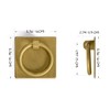 Hardware Philosophy Ring Plate Pulls 2.3 Inches - Set of