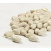 Camellia Great Northerns White Beans Dry 1 Lb (3Pack)