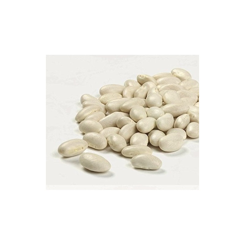Camellia Great Northerns White Beans Dry 1 Lb (3Pack)